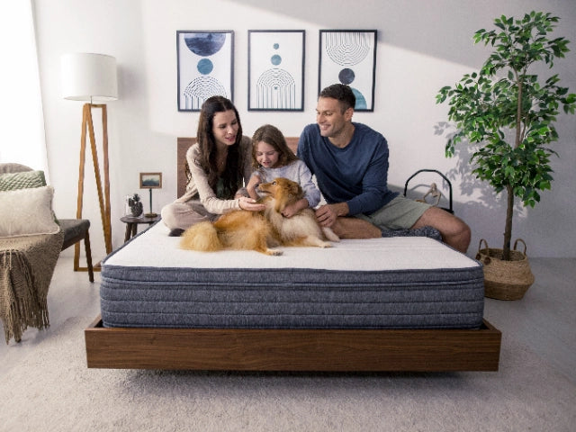 Types of Mattresses Explained – Pros and Cons of Each One