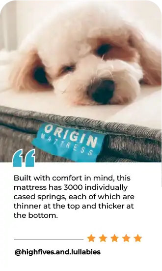 Origin customer review portrait 1