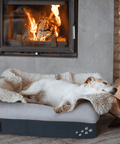 CosyPaws™ Dog Bed & Cat Bed