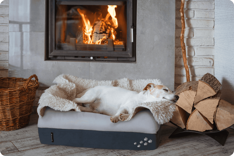 CosyPaws™ Dog Bed & Cat Bed