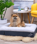 CosyPaws™ Dog Bed & Cat Bed