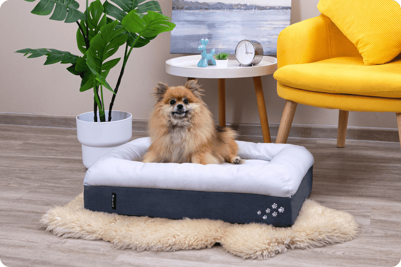 CosyPaws™ Dog Bed & Cat Bed