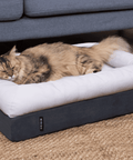 CosyPaws™ Dog Bed & Cat Bed