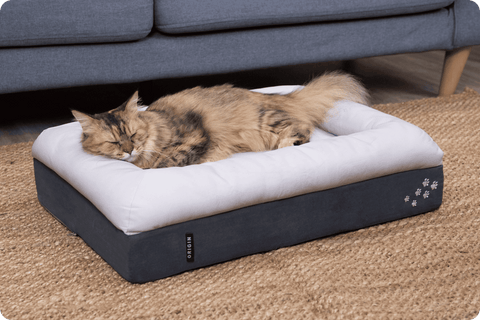 CosyPaws™ Dog Bed & Cat Bed