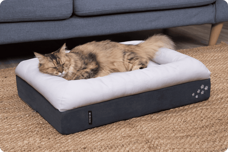 CosyPaws™ Dog Bed & Cat Bed