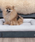 CosyPaws™ Dog Bed & Cat Bed