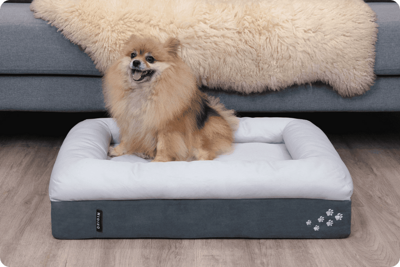 CosyPaws™ Dog Bed & Cat Bed