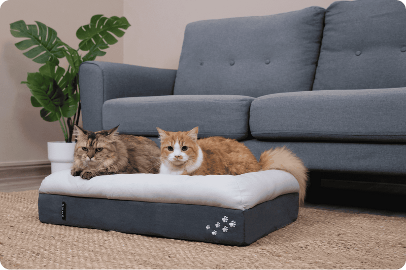 CosyPaws™ Dog Bed & Cat Bed